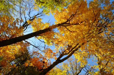 Прикрепленное изображение: 3.JPG